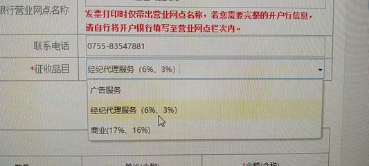 商业信息咨询服务发票填写指南 名称规范与注意事项
