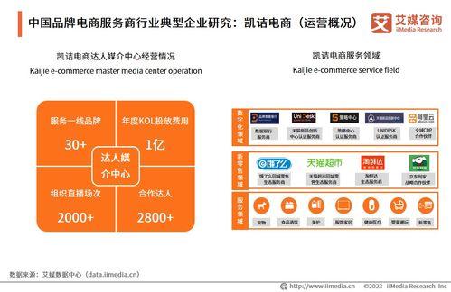 2023年中国品牌电商服务商行业研究报告 趋势、挑战与机遇